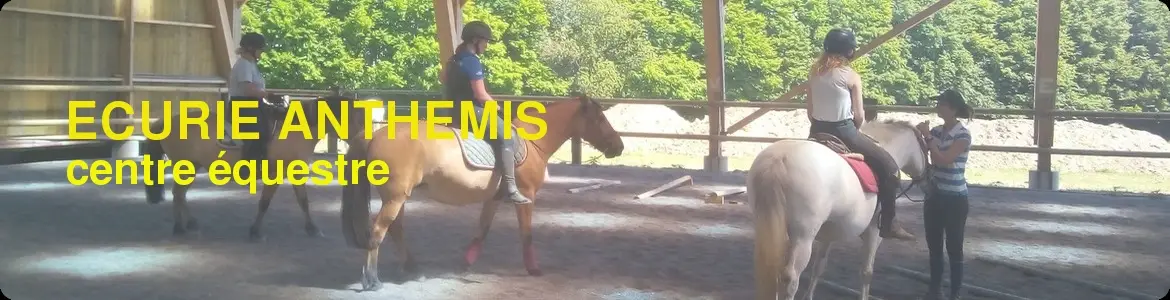 Ecurie Anthemis Centre Equestre