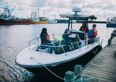 Tusket Island Tours