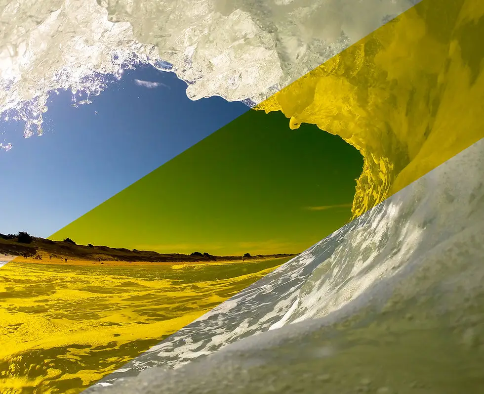 Resurfschool