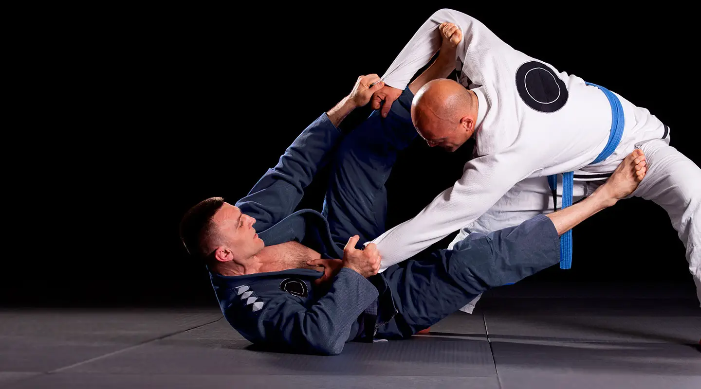 Muga Mushin Ryu Ju-Jitsu