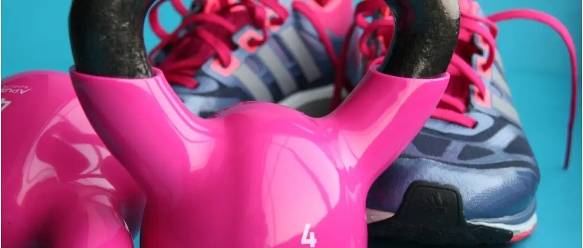 bayfit nz