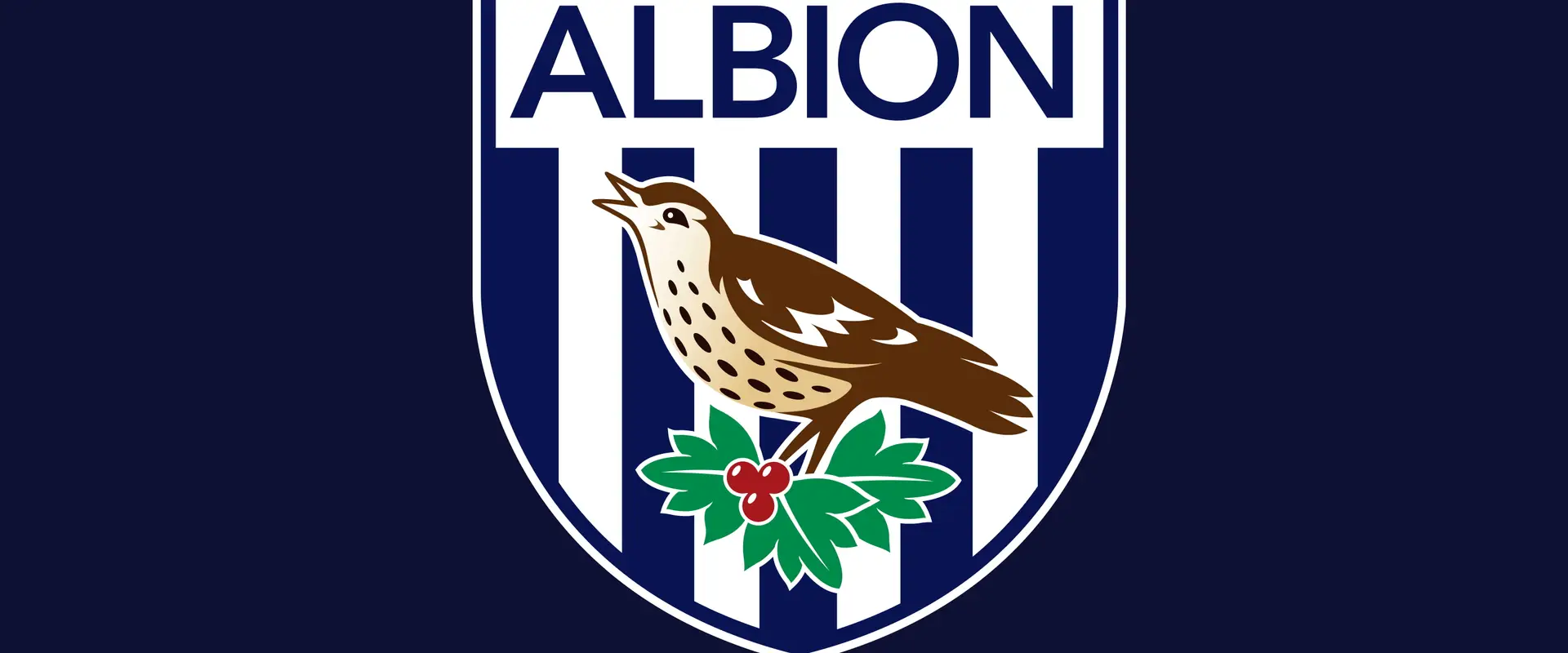 West Bromwich Albion Football Club