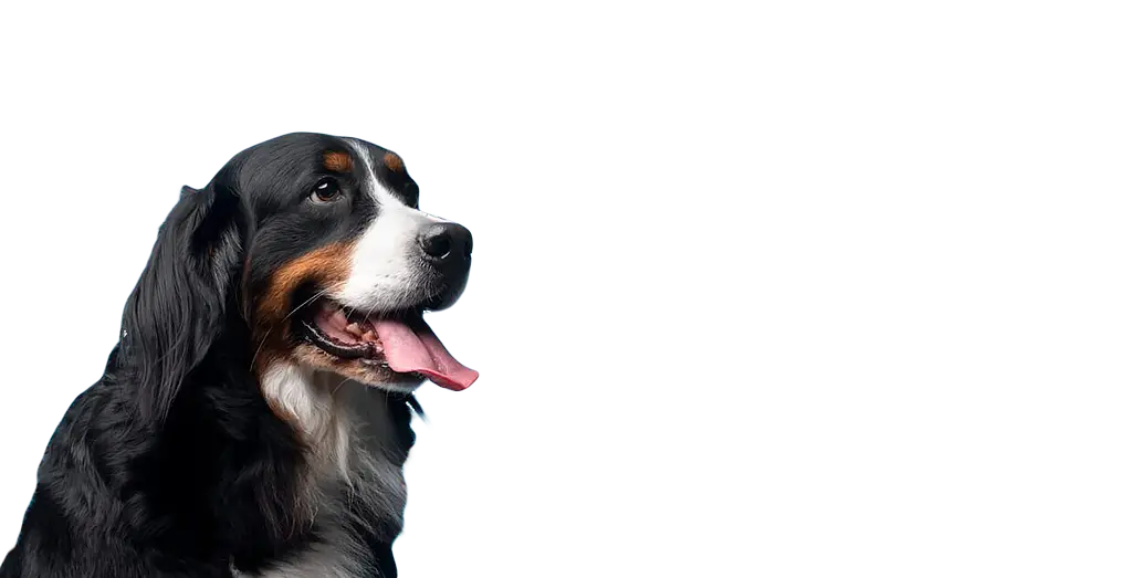 Hydromassage Canin