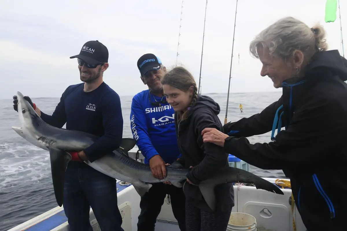 Blue Shark Charters