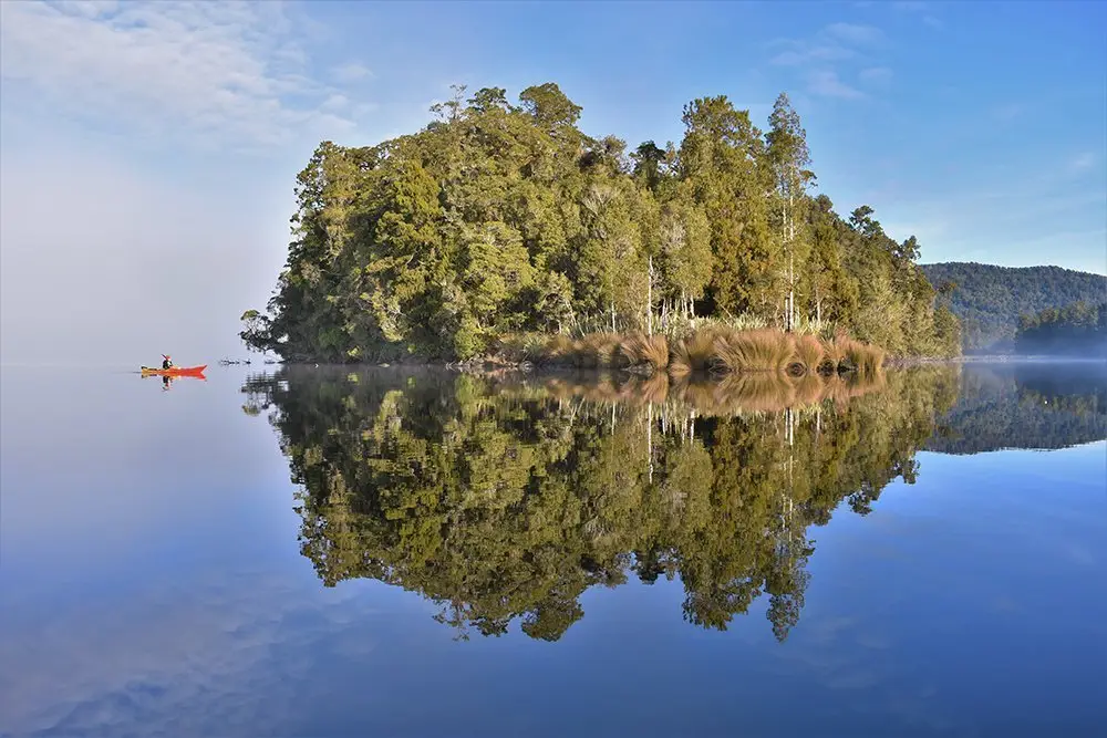 Franz Josef Wilderness Tours