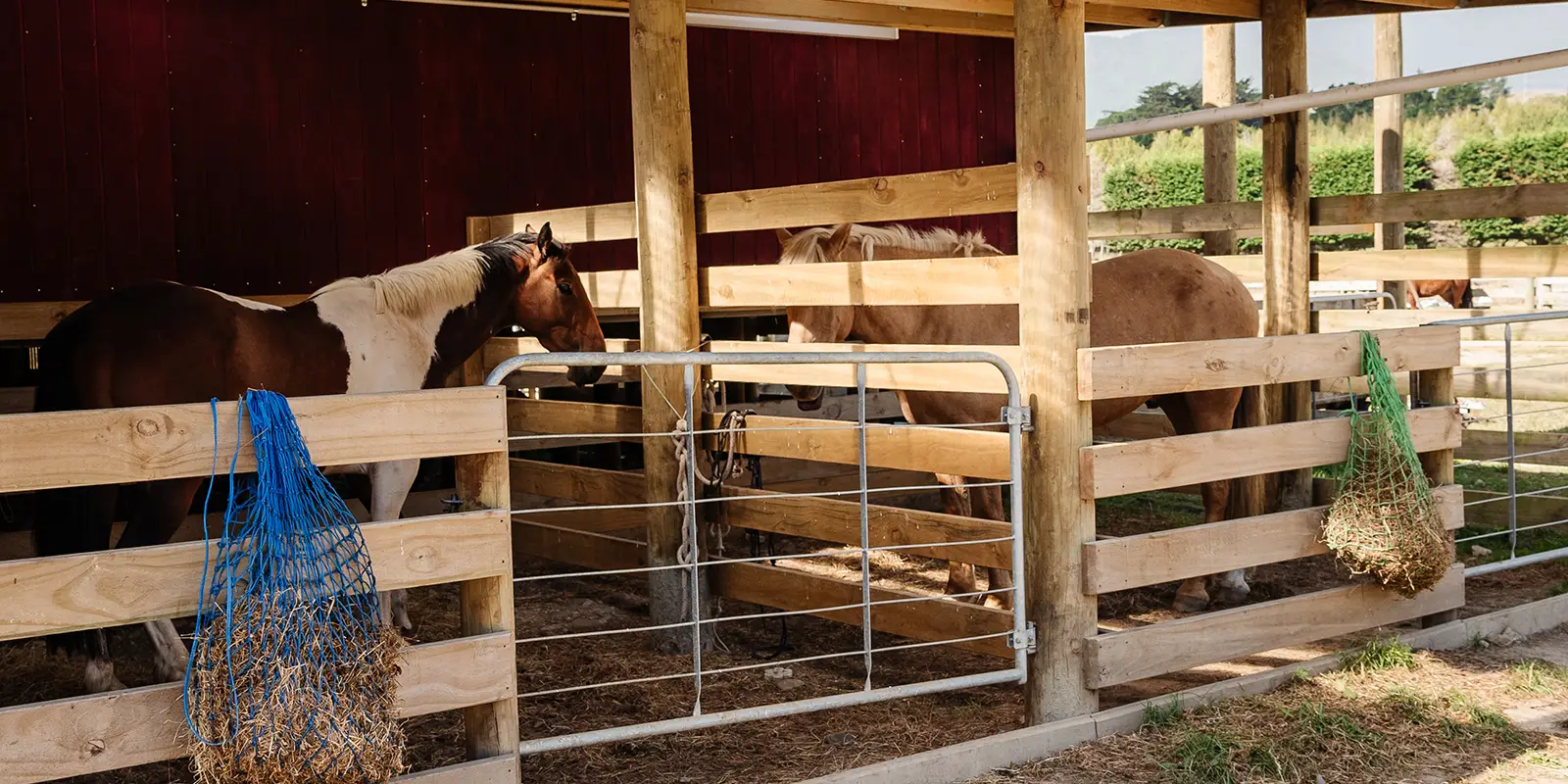 Pony-Tales, Pony Riding School, Waikanae.
