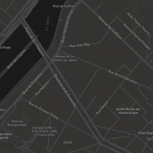 Dally Daoud Speedwell Course Ballet Paris 15 - Dance School Paris - Adults - Enfants