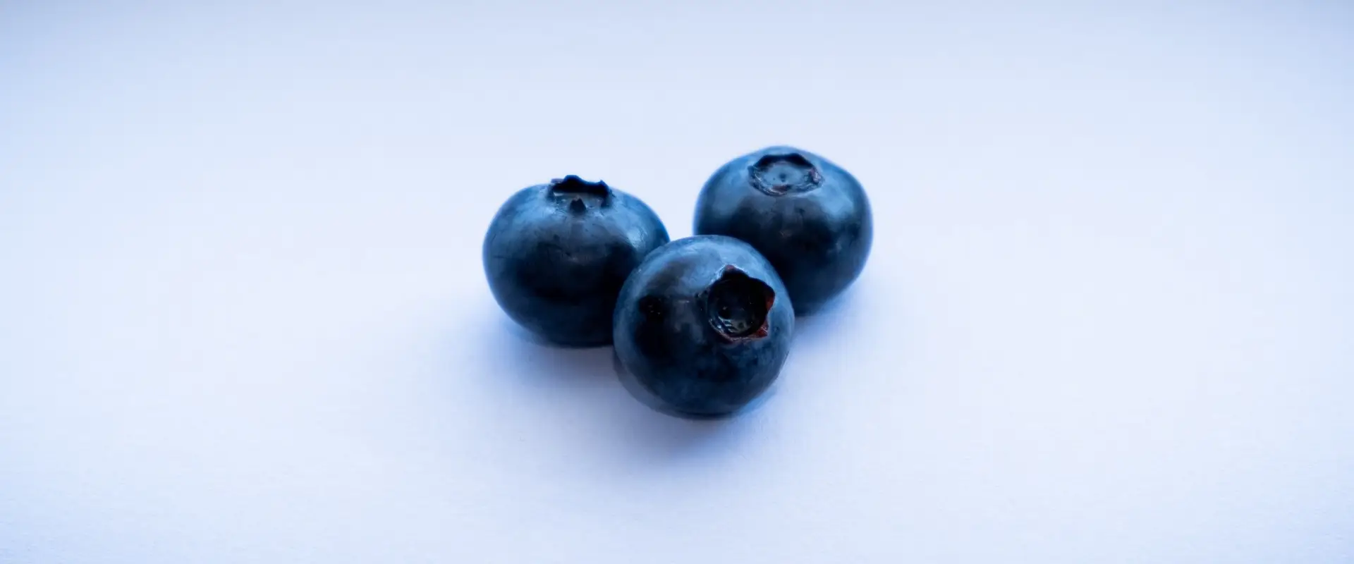 BlueberryNZ