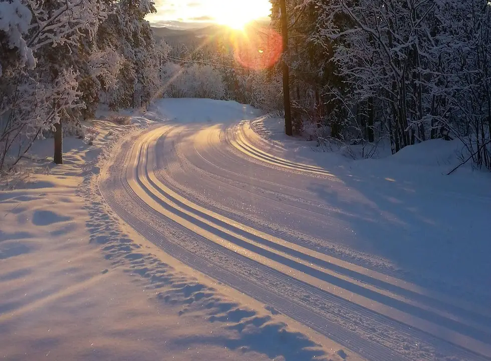 Whitehorse Cross Country Ski Club