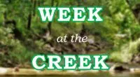 Stoney Creek Community School