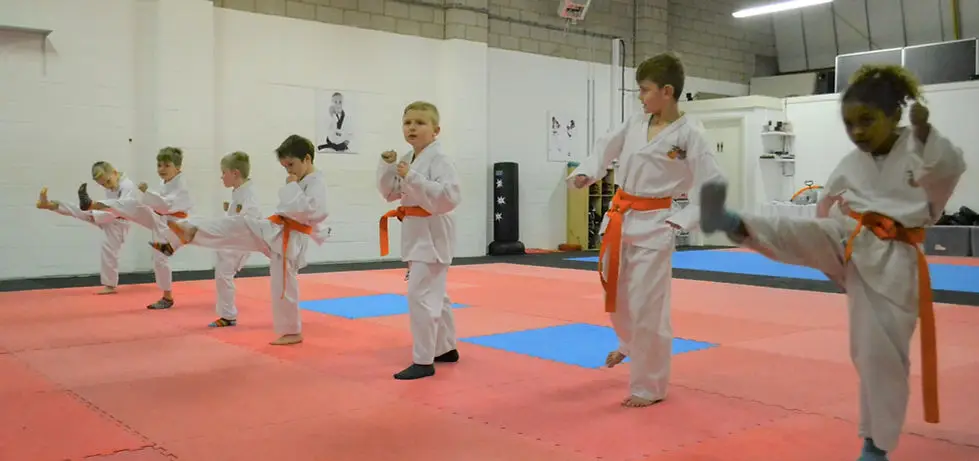 Sittingbourne martial arts club
