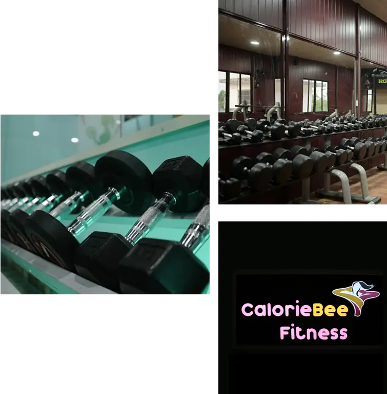 Calorie Bee fitness