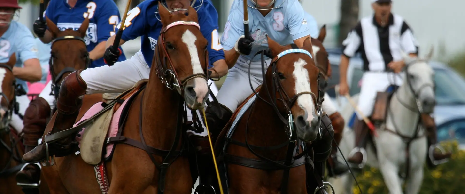 Toronto Polo Club