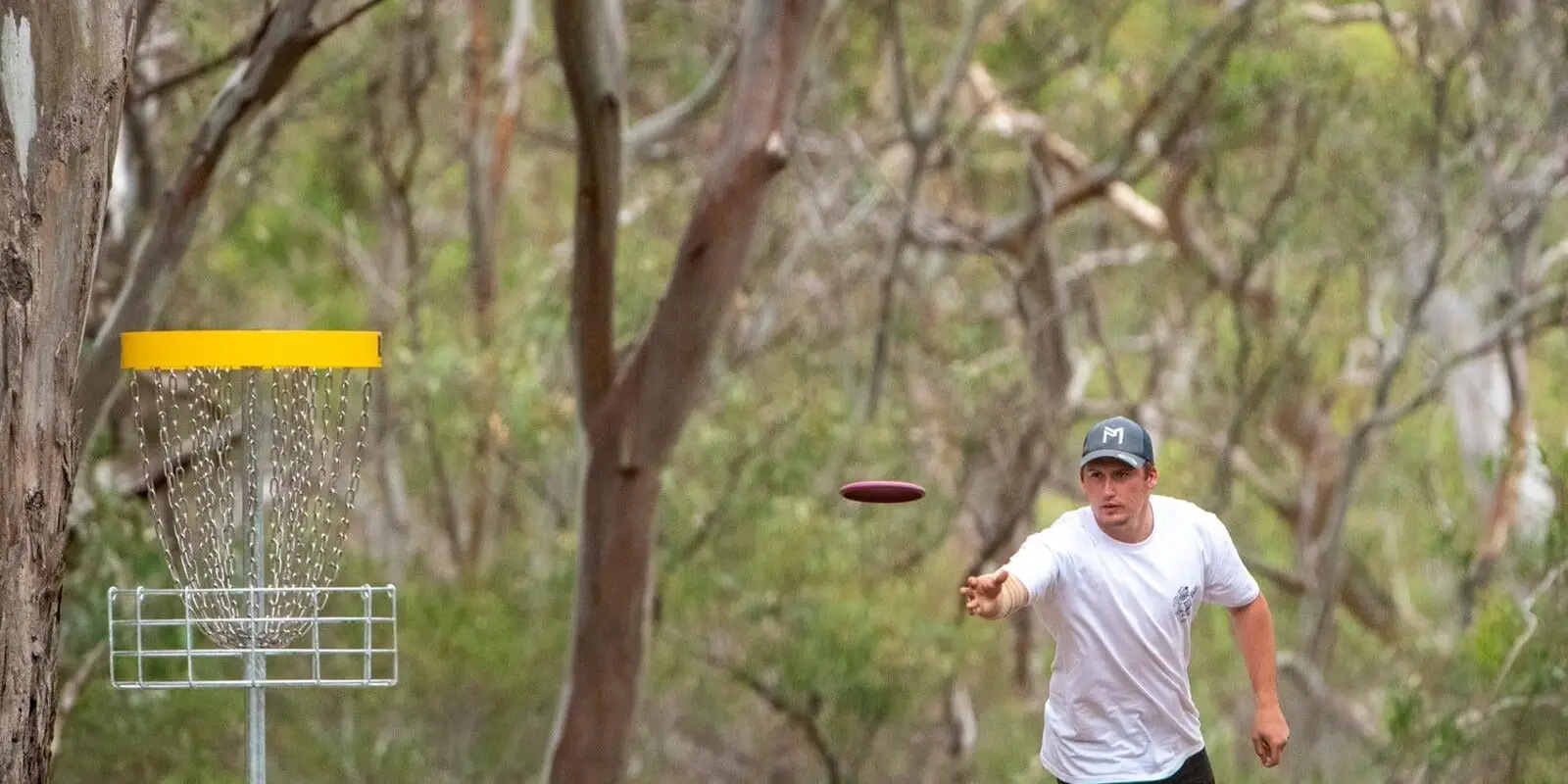 Taylor Reserve Disc Golf Park