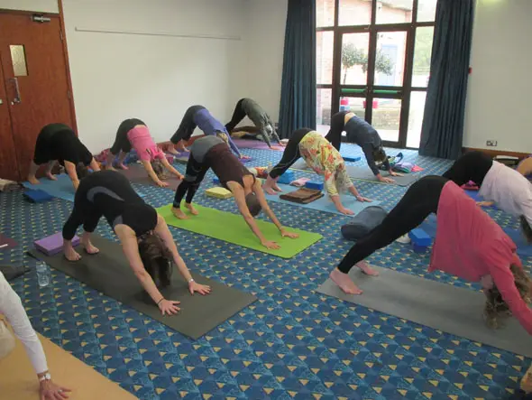 Joan Stonehouse Yoga