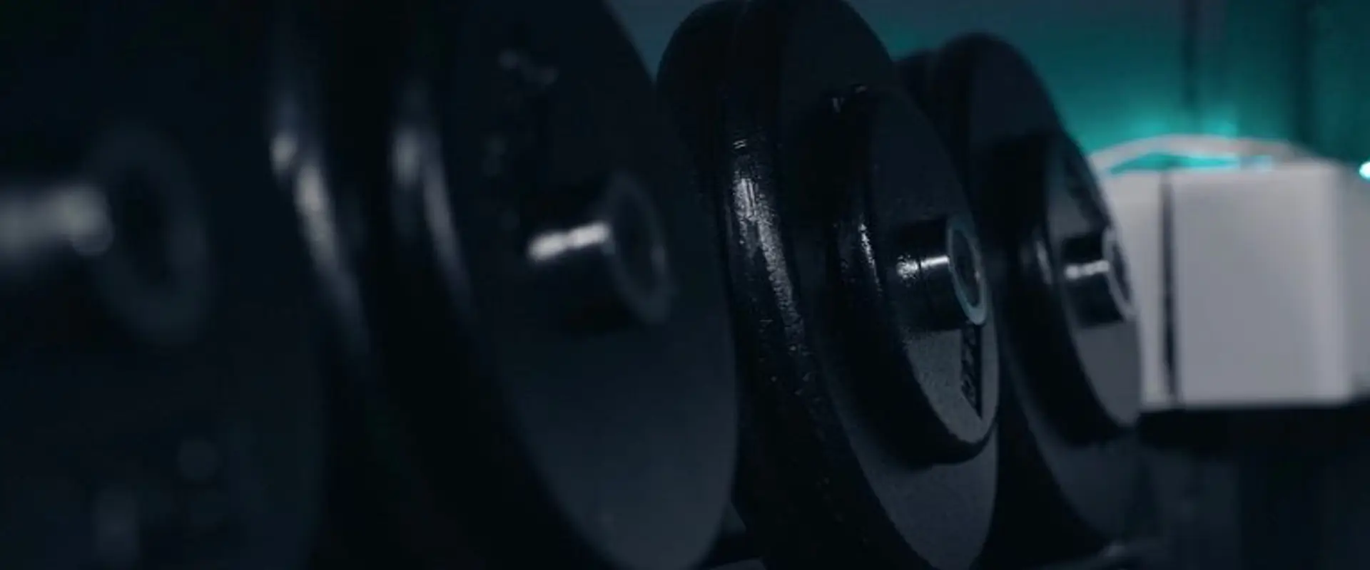 The Lemon Frog Fitness Company