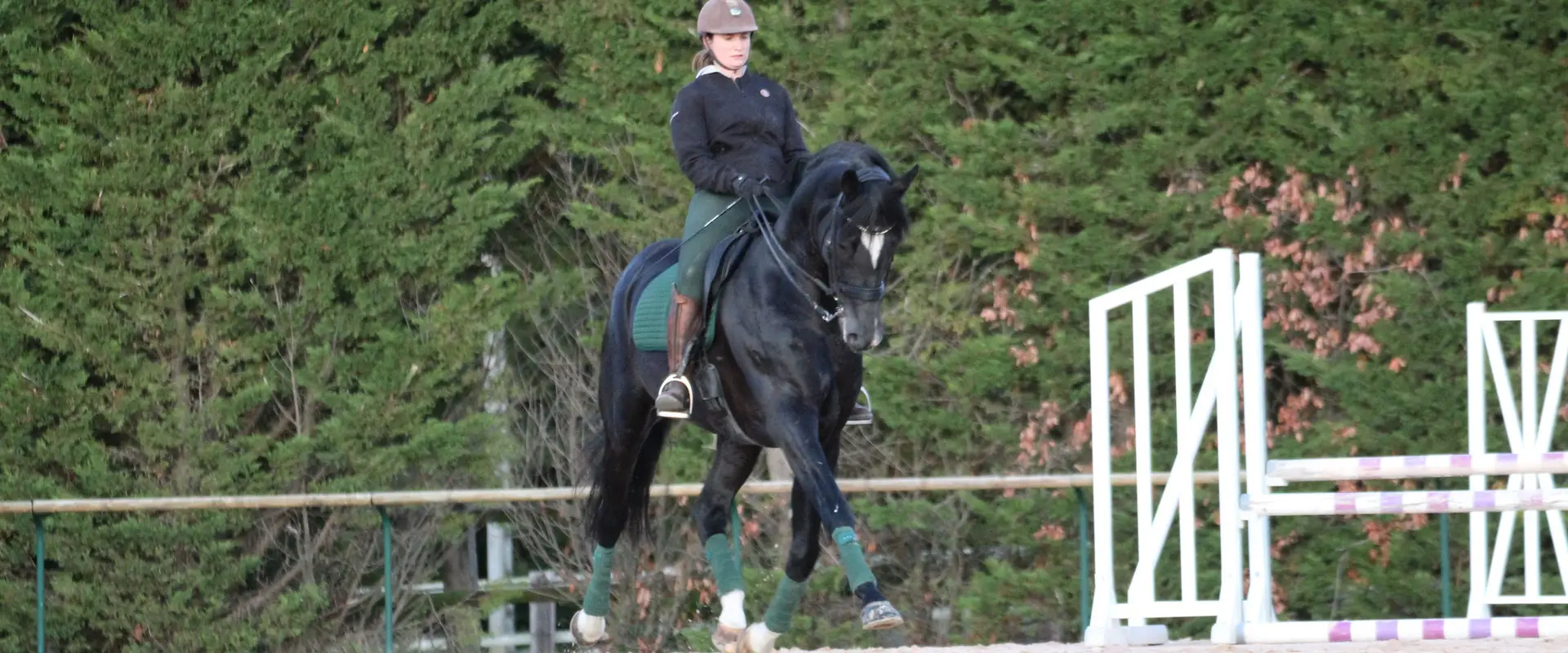 Stud De La Tuilerie