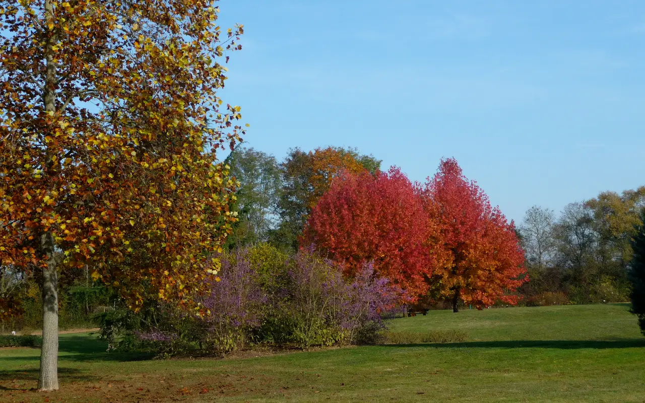 Public Golf of Chalon-sur-Saône
