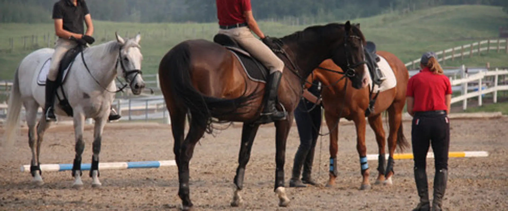 Sandridge Stables