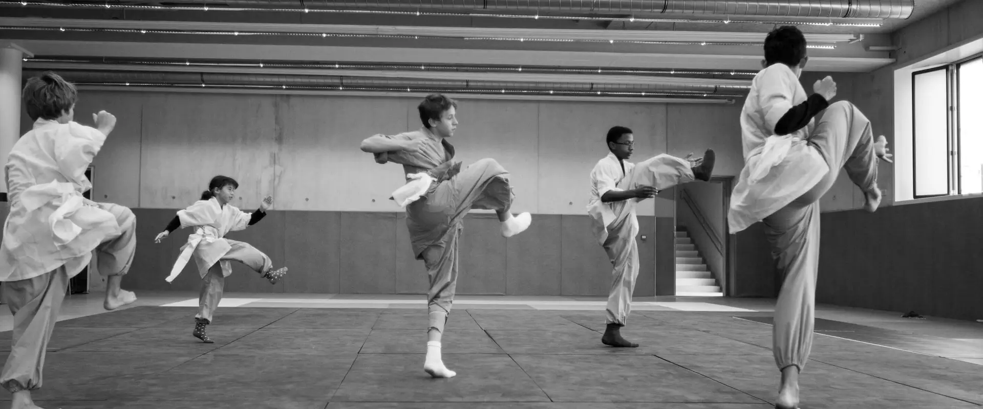 Afa Wushu