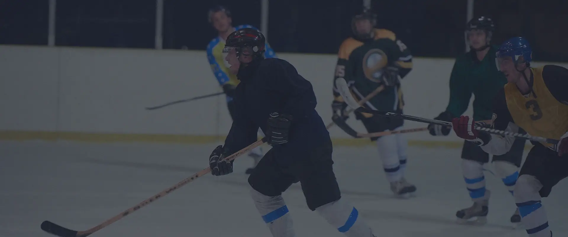 Vibank Rink