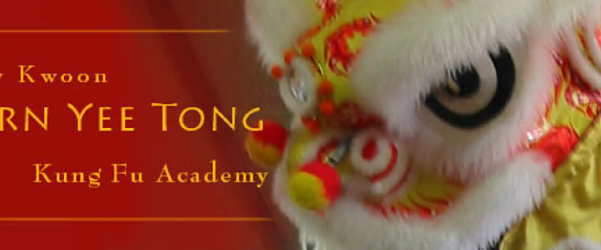 Chow Kwoon Yarn Yee Tong Kung Fu Academy