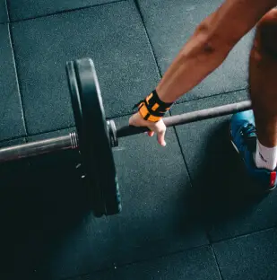 Muscle Engineer ️