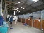 GUILERS EQUITATION