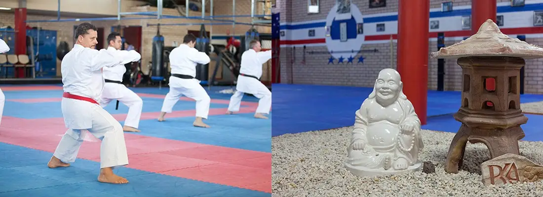 Pollet's Karate Academy