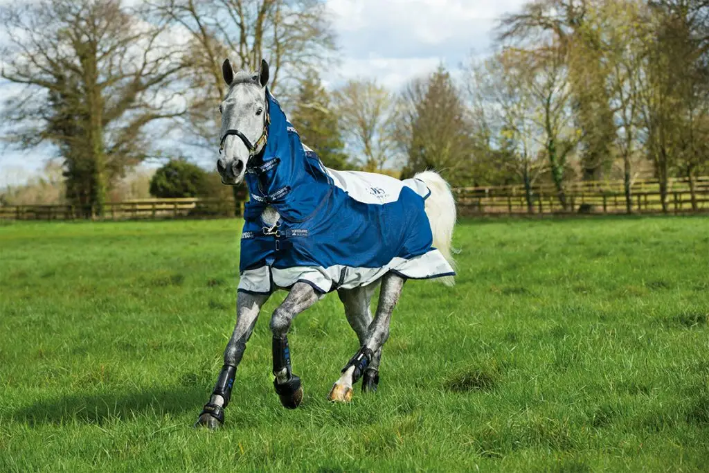 Equestriana