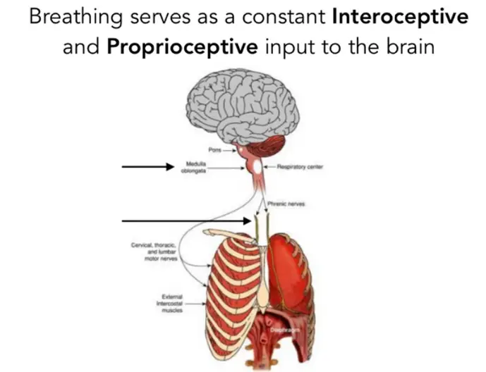 Functional Neuro Health