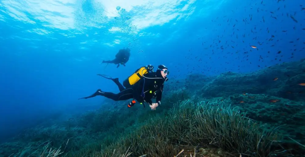Harlow Sub Aqua Club - Scuba Diving in Essex