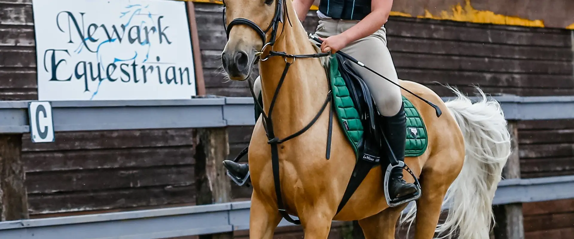 Newark Equestrian