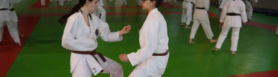 Karate Club Bourguignon