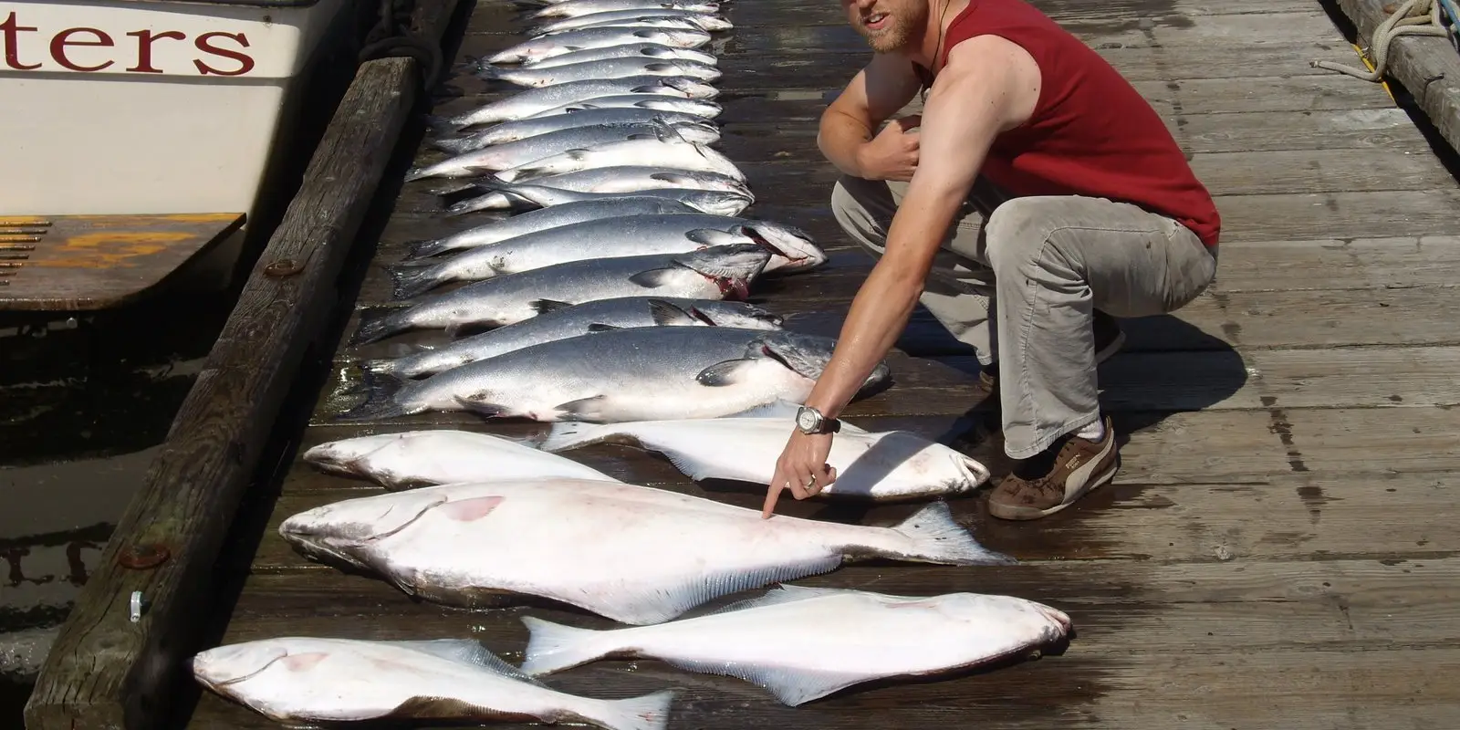 Castaway Charters