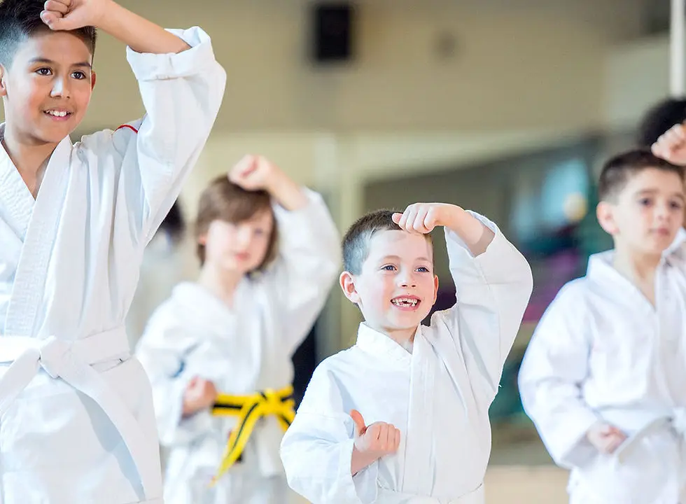 FH Karate Team