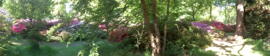 Tai Chi at Garden LTC