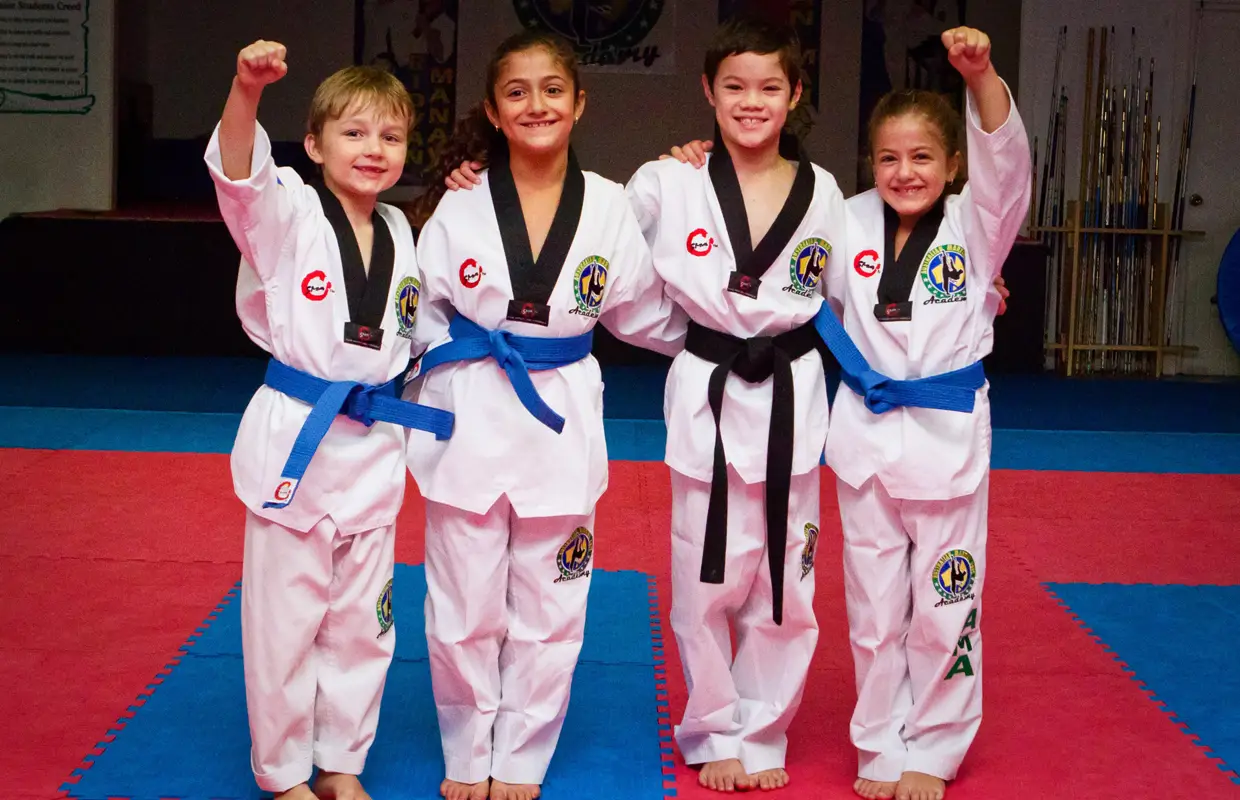 Australian Martial Arts Academy Auburn