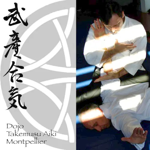 Aikido Takemusu Aiki