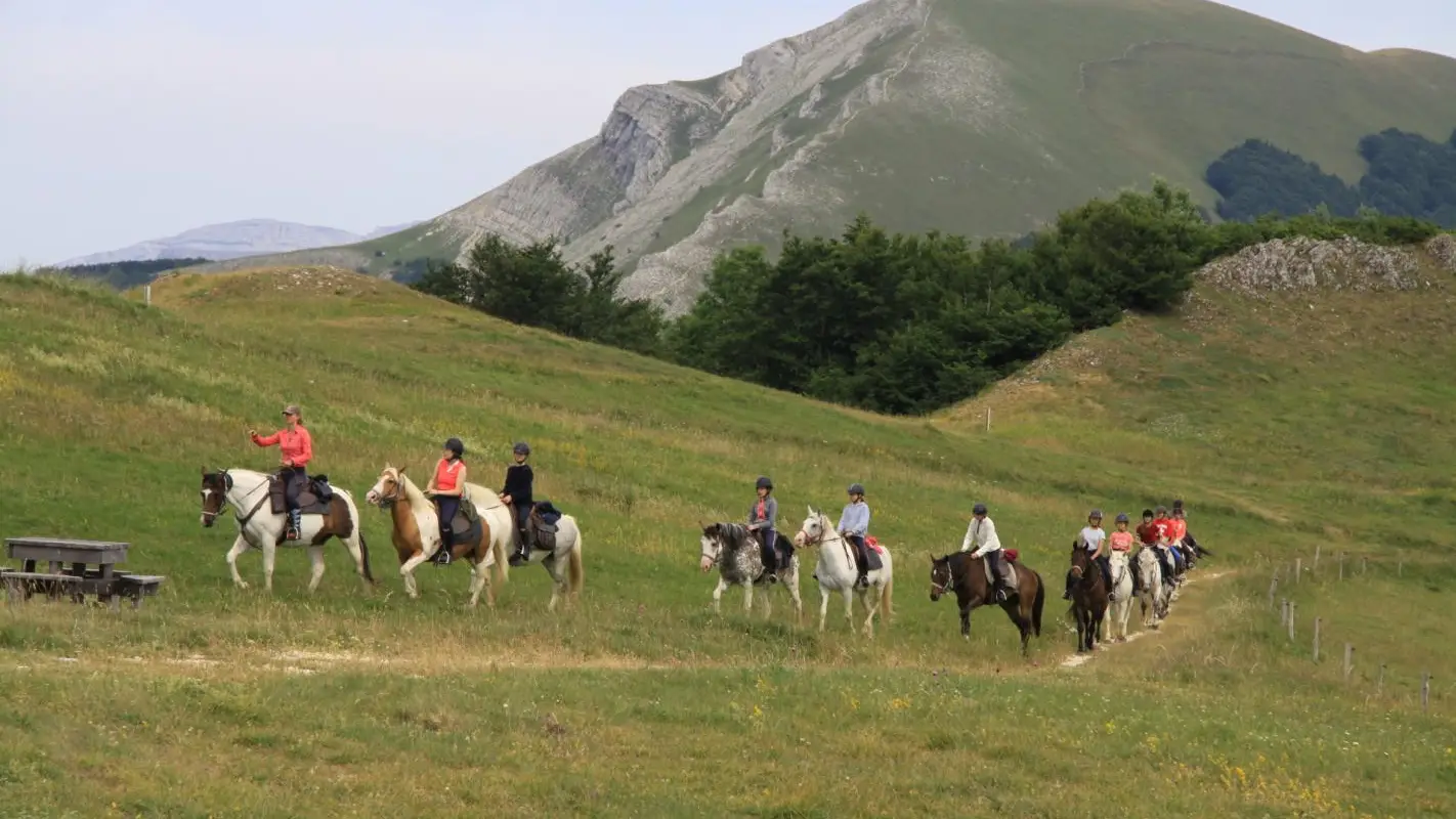 LE VERCORS A CHEVAL