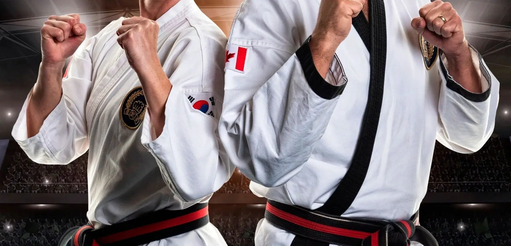 Langille's Tae Kwon Do