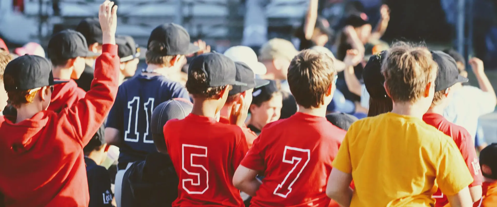 Carnarvon Baseball