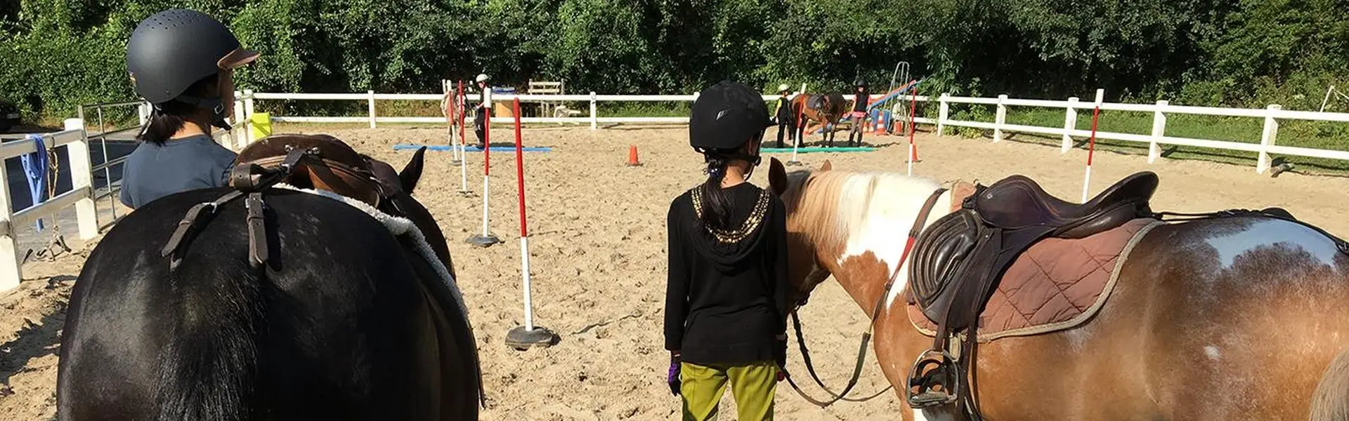 Pole Equestre Du Compiégnois