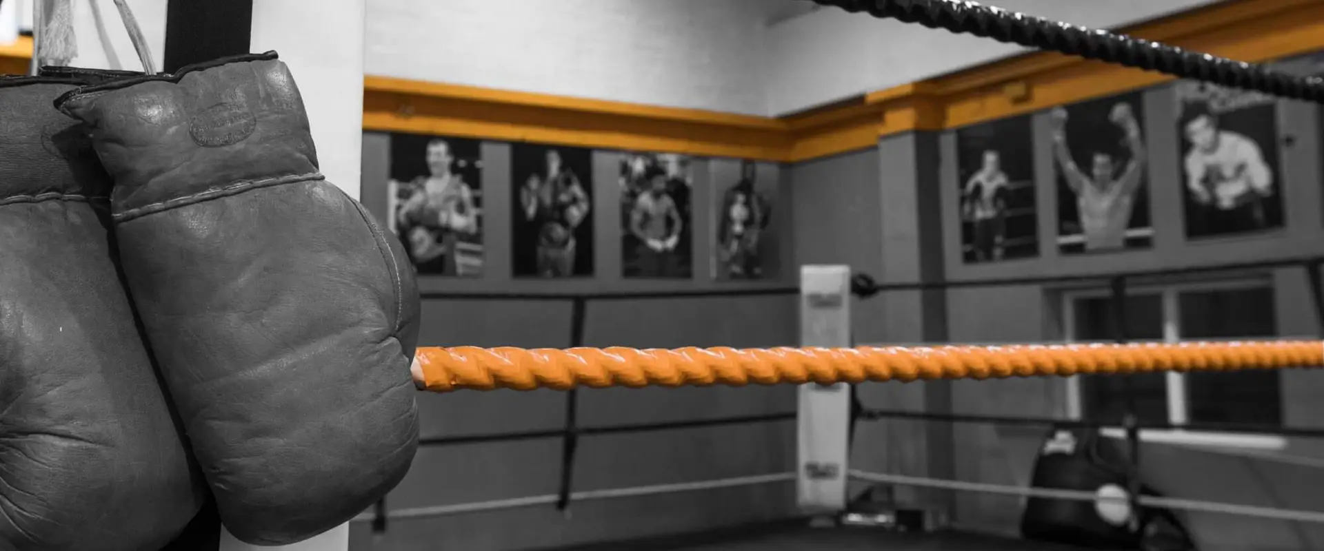 Andy McLeans Boxing Gym