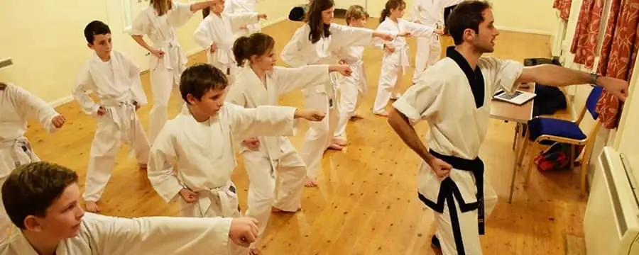 Tiger Martial Arts - Castle Mead School