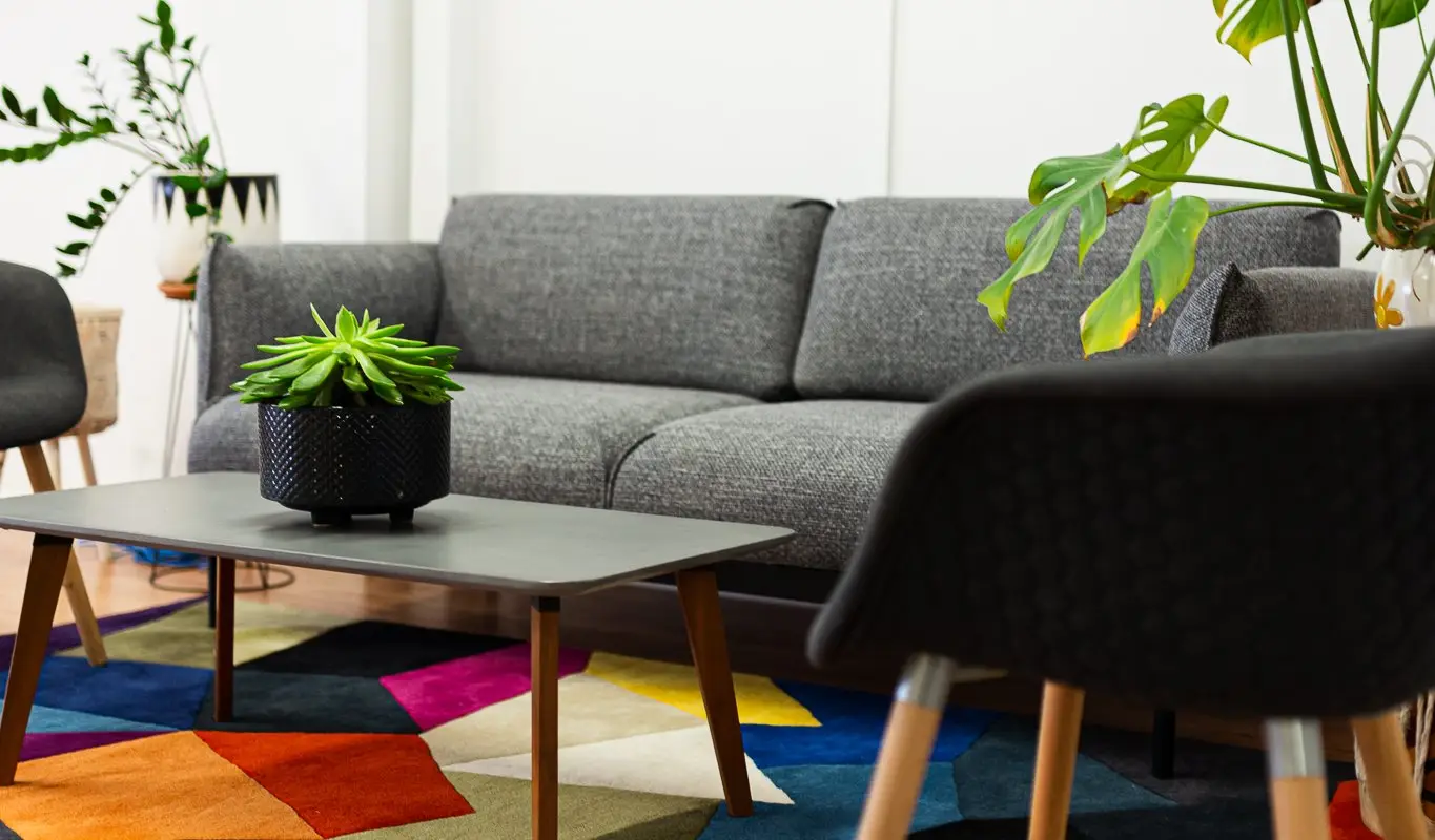 Mache Wellbeing Studio