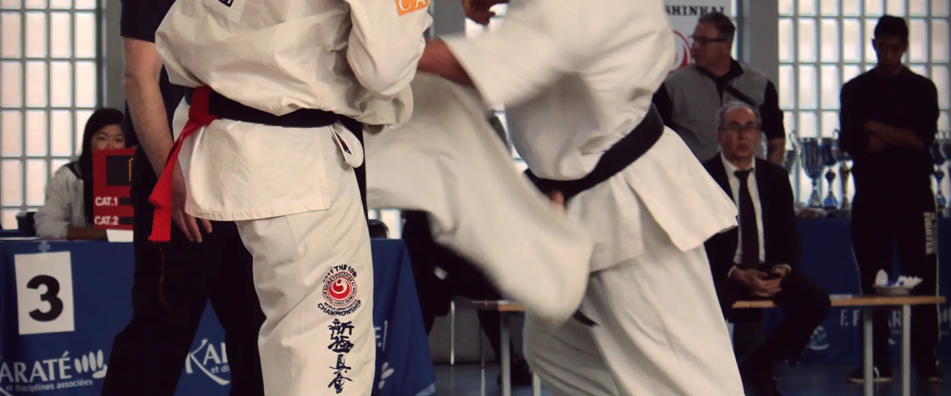 Santes Karate Kyokushinkai