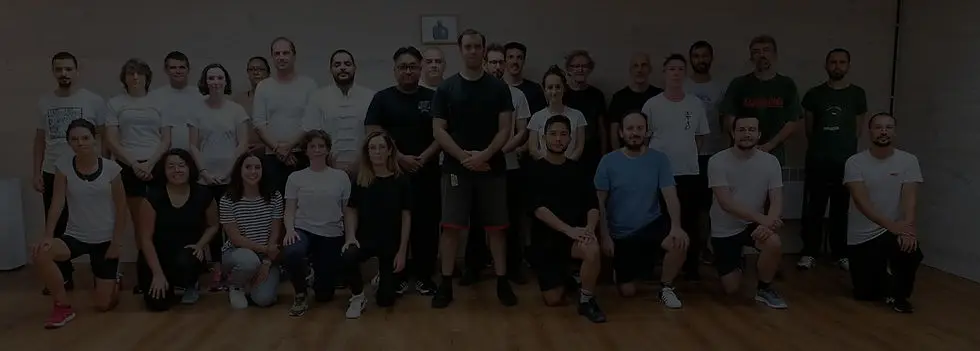 School Of Wing Chun Toulouse - Wing Chun Dao