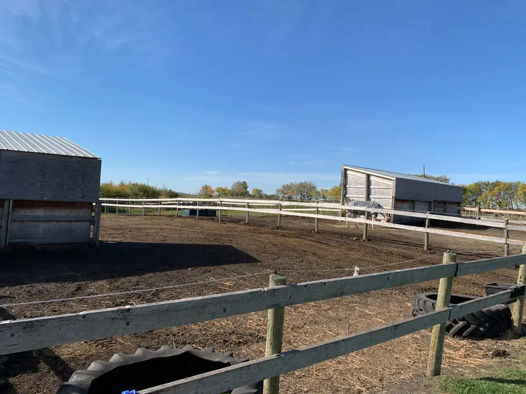 Matali Equine Riding Center