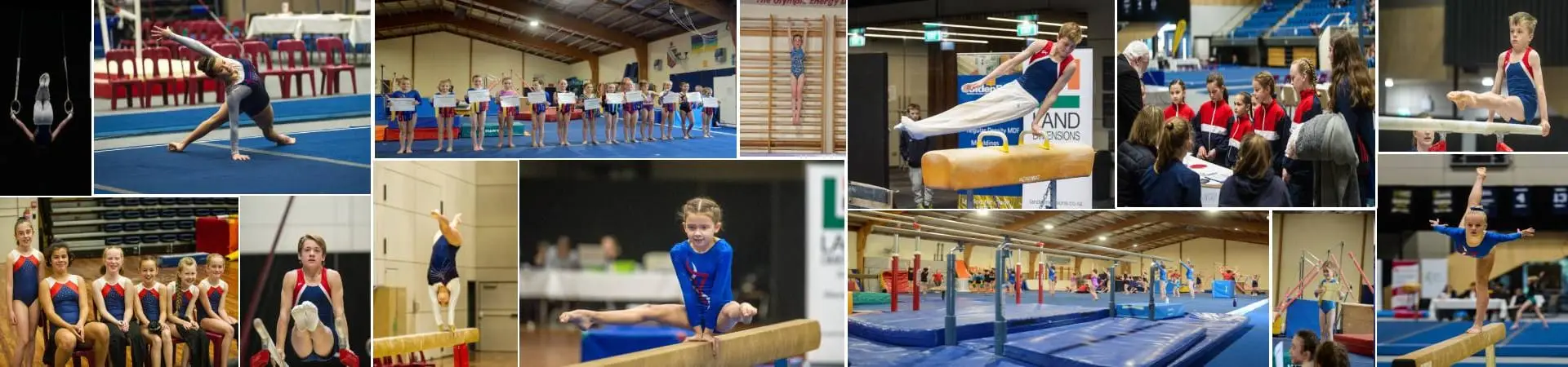 Gymnastics Nelson Inc
